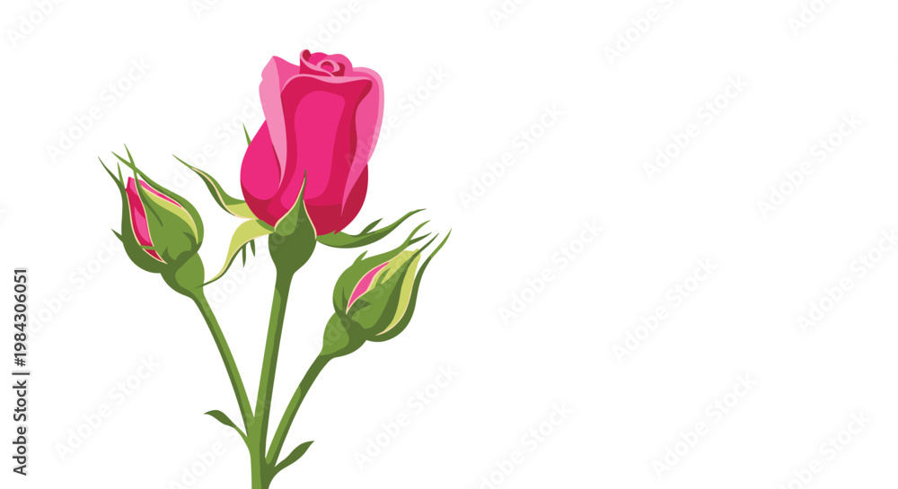 Fototapeta premium Beautiful pink rosebuds on green stems, perfect for romantic occasions and spring celebrations.