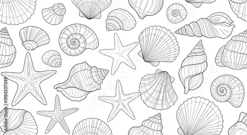 A seamless pattern of beautiful seashells, starfish, and sea objects for beach and summer decor.