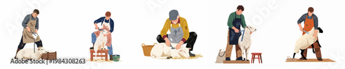 A series of flat vector illustrations showing various farmers shearing white sheep for wool production on a clean white background.