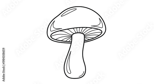 A simple line art drawing illustration of a single beautiful mushroom in a natural forest setting for nature and fantasy themes.