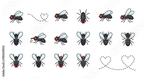 Collection of cartoon house flies in various poses, some with dotted heart-shaped flight paths, on a white background, illustrating insect movement and pests.