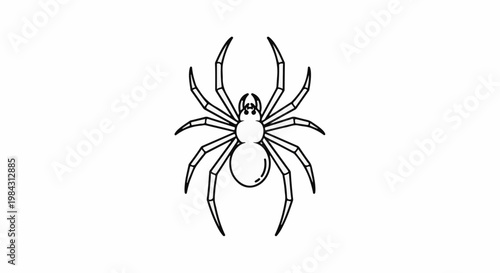 Outline of a spider with its eight legs spread wide and segmented body