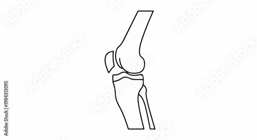 Minimalist line drawing of a human knee joint in profile