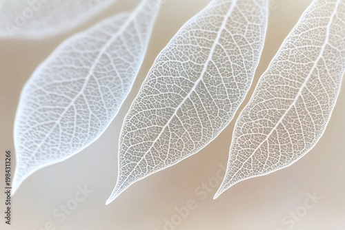 Elegant Botanical Composition Featuring Detailed Veining Patterns on Beige Background