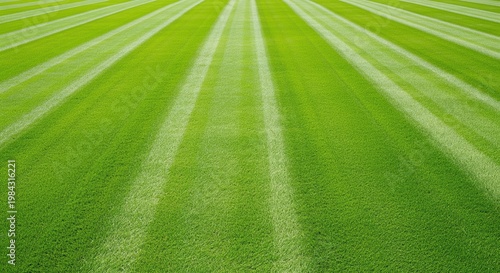 A perfectly manicured green lawn with evenly spaced stripes created by mowing patterns. The alternating light and dark green rows showcase pristine lawn care for landscaping projects.