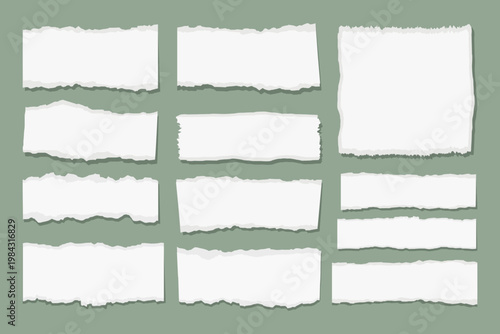 Ripped Paper Frame Grid on Sage Background  Torn Paper Layout Template