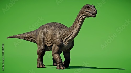 A large herbivorous dinosaur walks across a green screen background with bright studio lighting in a full body side view shot.