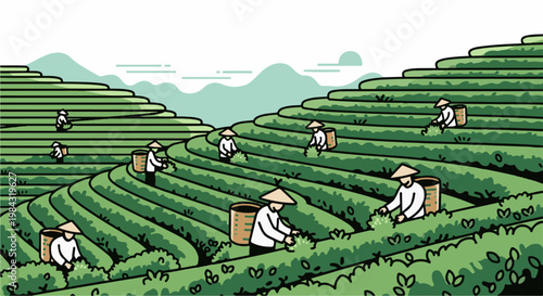 People harvesting tea leaves on lush green terraced hillsides under mountains