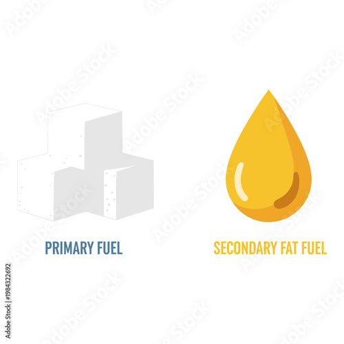 Illustration depicting primary fuel and secondary fat fuel concepts Vector, illustration