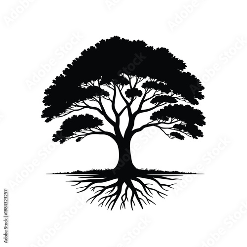 A black silhouette of a tree with exposed roots on white