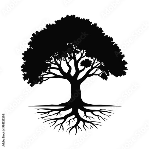 A black silhouette of a tree with roots on white background