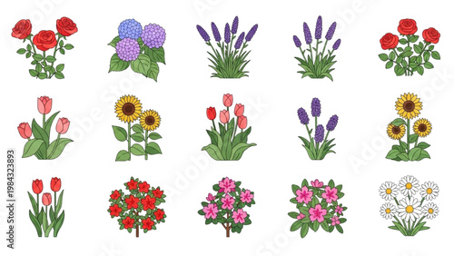 Vector 2D CAD illustrations of various colorful flowers and plants in a graphic design