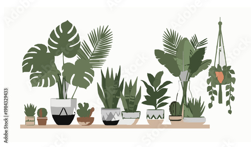 Urban jungle home decor plants cacti tropical vector illustration