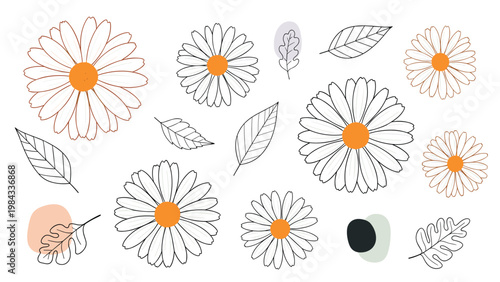 Charming collection of outlined daisy flowers with vibrant orange centers, complemented by subtle leaves and abstract pastel shapes, ideal for botanical designs.