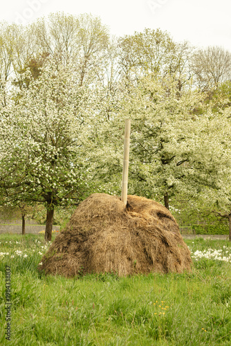 hay bales in a field