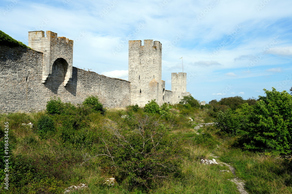 Fototapeta premium Stadtmauer Visby, Mauer, mittelalterlich, Stadtbefestigung, Visby, Stadttor, Wahrzeichen, Ostseite, Hansestadt Visby, Ostseeinsel Gotland, Schweden, Turm, Landschaft, green, Pfad
