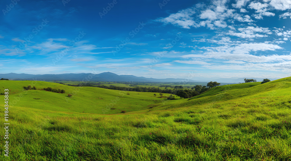 Obraz premium Green rolling hills under blue sky with scattered clouds
