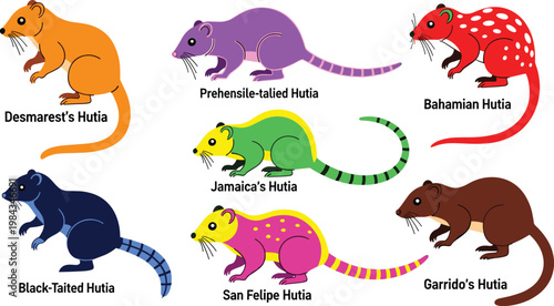 Hutia species and Caribbean rodent wildlife flat icon set
