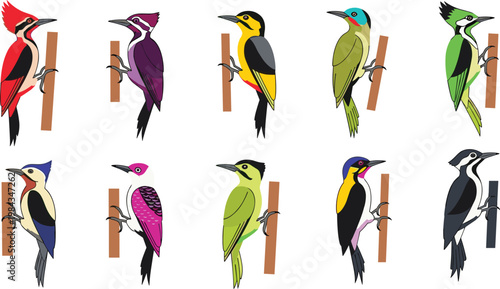 Wild cat species and Lynx feline wildlife flat icon set