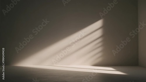 Soft Window Light Casting Shadows On Minimalist Wall