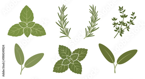 An assortment of vibrant green herb leaves and sprigs is depicted in a flat illustrative style silhouette high quality professional detailed