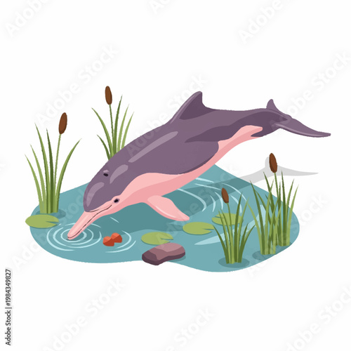 Illustration of a pink and purple river dolphin jumping in a pond with green reeds, lily pads, and ripples on the water surface, isolated on a white background for design use.