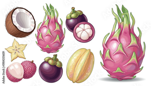 Tropical fruit collection featuring dragon fruit coconut mangosteen starfruit lychee illustration set