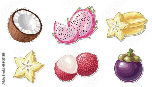 Tropical fruit collection featuring dragon fruit coconut mangosteen starfruit lychee illustration set