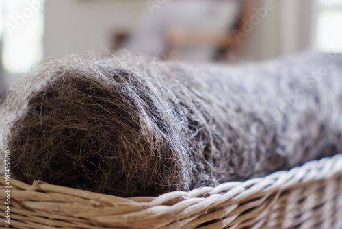 Large roll raw flax fiber in woven basket indoor close-up