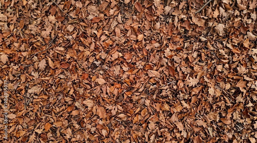 Fototapeta premium Autumn Leaves Covering Ground in Warm Hues.