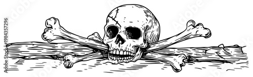 Human skull and crossbones vector illustration, Hand drawn pirate or memento mori symbol, Vintage engraved death and mortality sketch