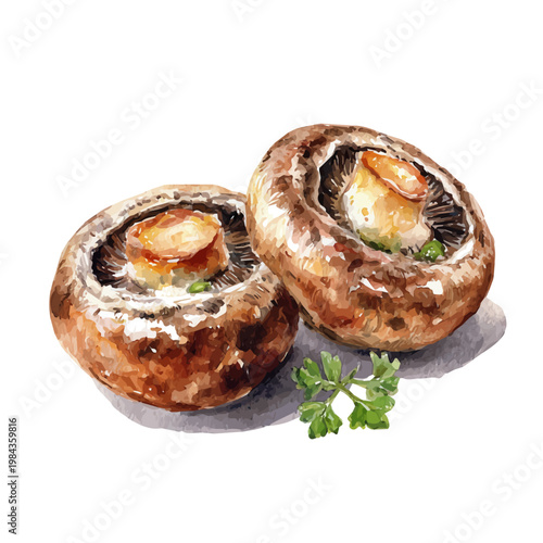 Stylized watercolor Stuffed Mushrooms vector, modern artistic illustration with high-quality details on a pure white background.