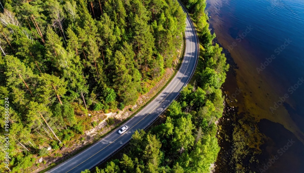 Fototapeta premium Aerial view of a coastal road winding through dense pine forest next to dark blue water, summer travel, scenic route, transportation, adventure