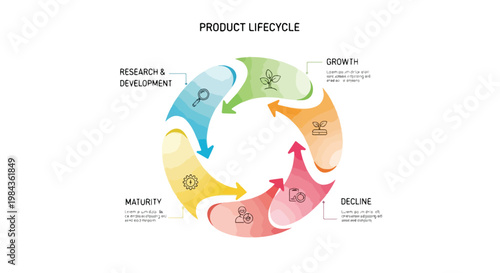 Product lifecycle infographic vector, business process cycle with 5 stages, circular flow chart for research growth maturity and decline