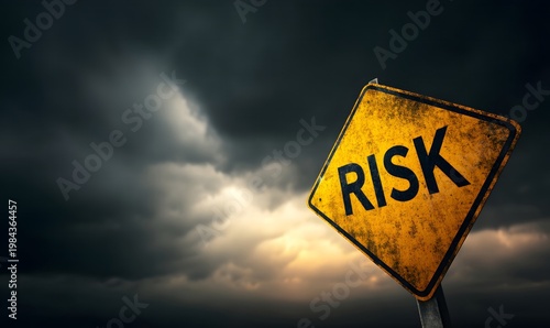 Risk management strategies and assessment for business investment decision making process