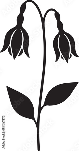 Simple Black Line Art of Two Drooping Bell Shaped Flowers Silhouette Isolated on White