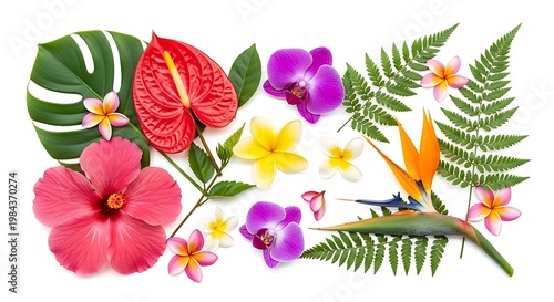Vibrant tropical flowers and leaves arrangement isolated on white background for decoration and design