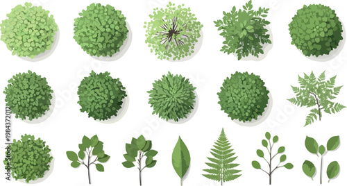Top view landscape trees and shrubs, 18 architectural garden plant symbols, green vegetation icons for site plan design, vector eps