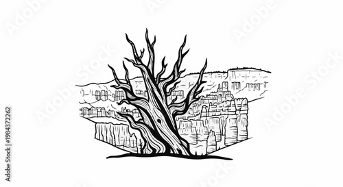 Stark, gnarled tree dominates a rugged canyon landscape under a bright sky