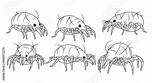 Six cartoon-style mites, each with eight legs, drawn in black and white