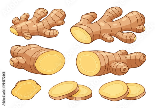 A collection of fresh ginger roots and slices on a surface