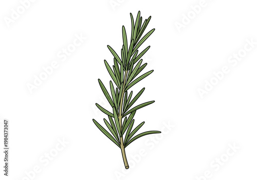 A single green sprig of rosemary stands alone on a plain surface.