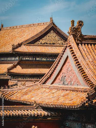 Frobidden City, Beijing, China