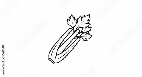 Simple line drawing of a bunch of celery with leaves