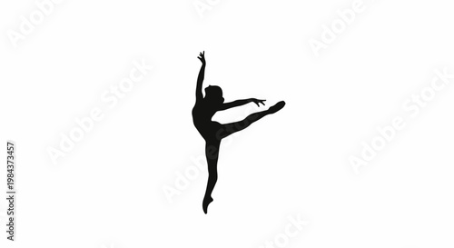Silhouette of a dancer in a graceful ballet pose