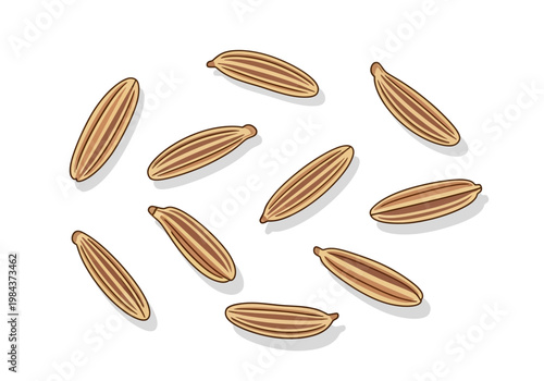Illustration of scattered rice grains on a clean surface