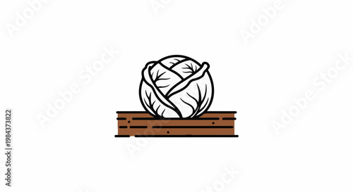 Simple line drawing of a fresh cabbage atop a wooden surface