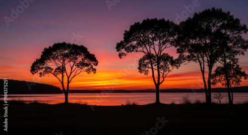 A serene landscape of silhouetted trees against a vibrant sunset over a peaceful body of water
