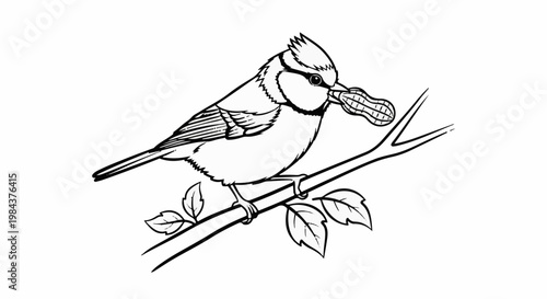 Small bird perched on a branch, holding a peanut in its beak