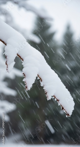 Snowy Branch in Winter Wonderland.